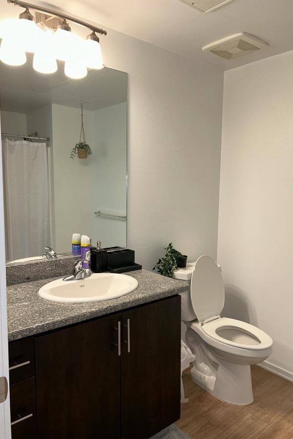 Beautiful Apartment In Hollywood 1Br & 1Bd لوس أنجلوس المظهر الخارجي الصورة